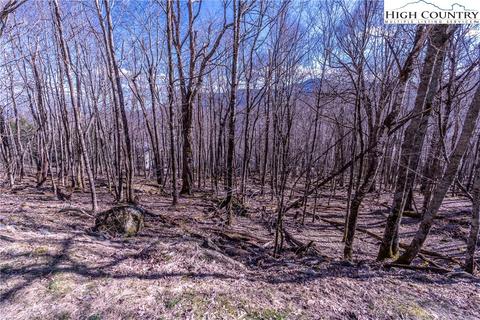 28 Buckeye Lane, Seven Devils, NC 28604 photo 4