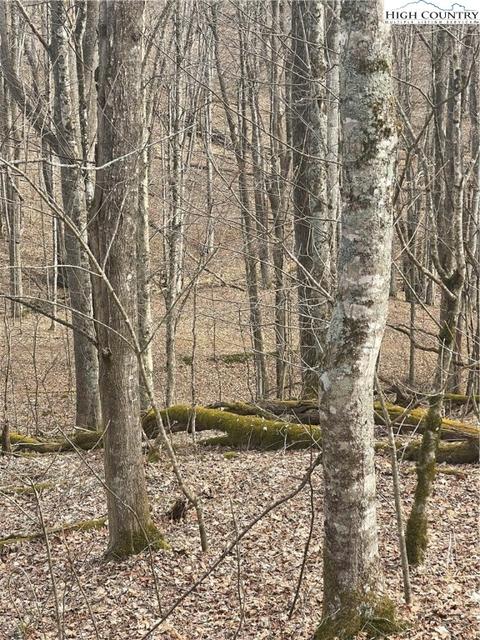 55 Carefree Cove Road, Zionville, NC 28698