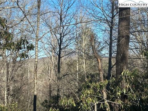 233 Elderberry Loop, Newland, NC 28657 photo 5