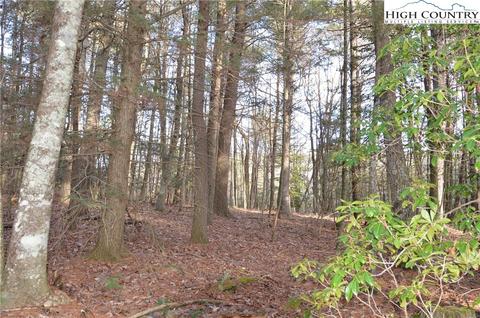 10 Still Springs Lane, Glade Valley, NC 28627