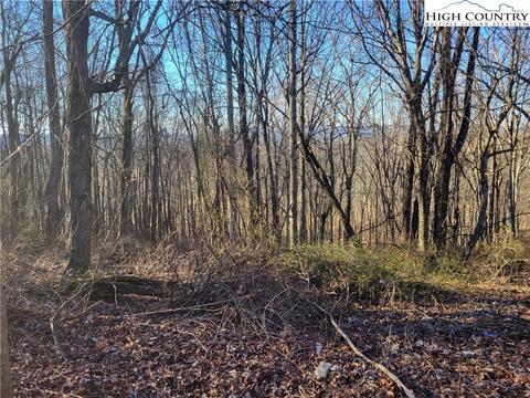 lot17 Terra Vista Dr, Laurel Springs, NC 28644