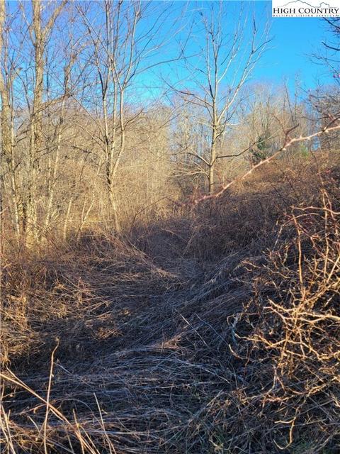 lot7 Terra Vista Dr, Laurel Springs, NC 28644