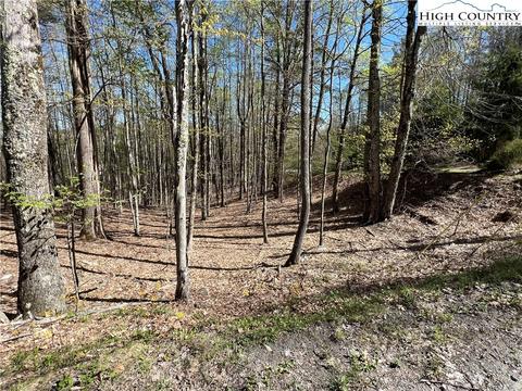 613 Pine Ridge Rd, Beech Mountain, NC 28604 photo 5