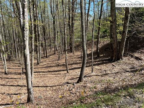 613 Pine Ridge Rd, Beech Mountain, NC 28604 photo 2