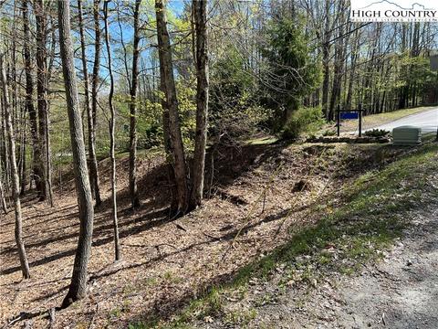 613 Pine Ridge Rd, Beech Mountain, NC 28604 photo 3