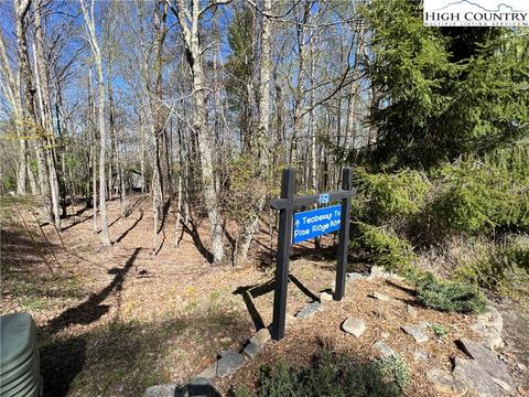 613 Pine Ridge Rd, Beech Mountain, NC 28604 photo 6