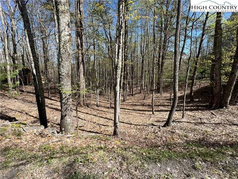 613 Pine Ridge Rd, Beech Mountain, NC 28604 photo 4