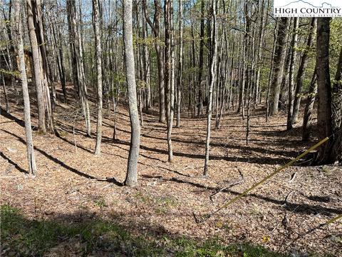 613 Pine Ridge Rd, Beech Mountain, NC 28604