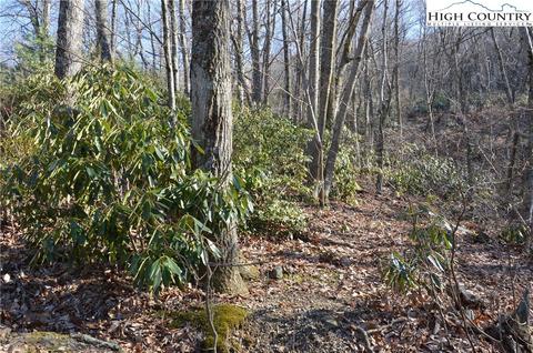 Lot #17 Bobcat Lane, Sparta, NC 28675