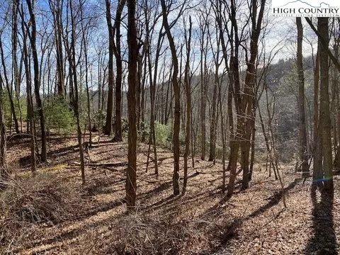tbd Chestnut Drive, West Jefferson, NC 28694