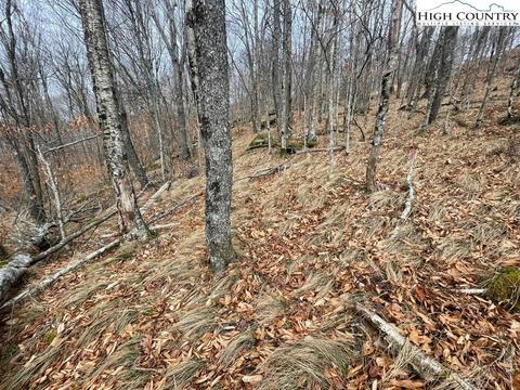 tbd Foxcrest Apt 10 Ln, Beech Mountain, NC 28604 photo 6