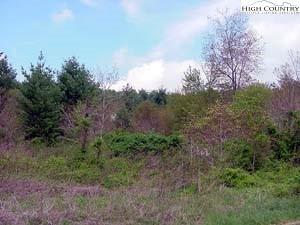 0 Grandviewtayson Rd Dr, Sparta, NC 28675
