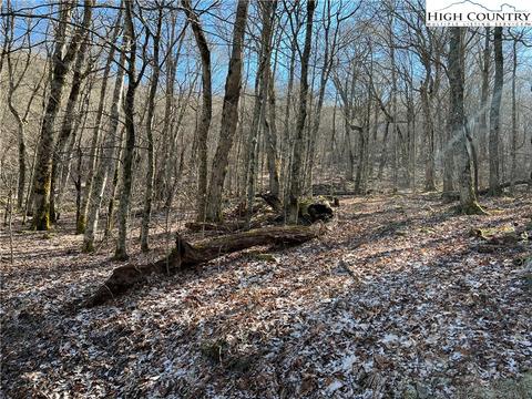 TBD Grouse Moor, Sugar Mountain, NC 28604 photo 6