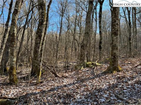 TBD Grouse Moor, Sugar Mountain, NC 28604 photo 3