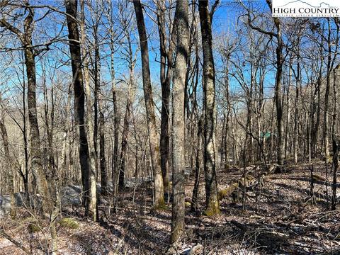 TBD Grouse Moor, Sugar Mountain, NC 28604 photo 5