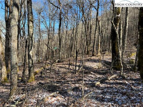 TBD Grouse Moor, Sugar Mountain, NC 28604 photo 4