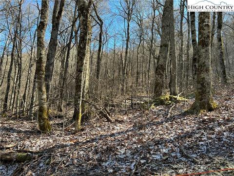 TBD Grouse Moor, Sugar Mountain, NC 28604 photo 2