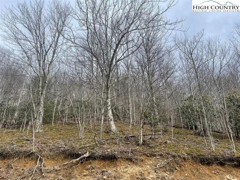 104 Deergrass Rd, Beech Mountain, NC 28604 photo 2