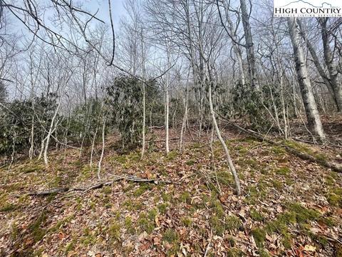104 Deergrass Rd, Beech Mountain, NC 28604 photo 5