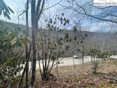 104 Deergrass Rd, Beech Mountain, NC 28604 photo 6