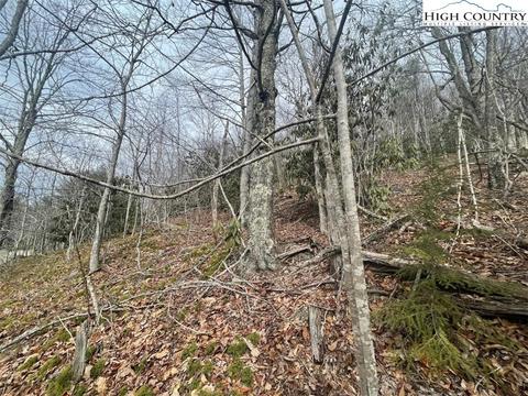 104 Deergrass Rd, Beech Mountain, NC 28604 photo 4