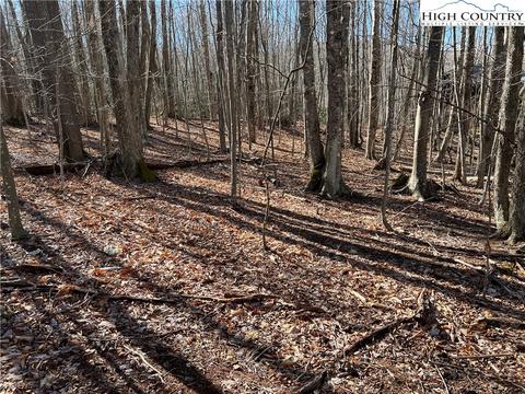 Lot 43 Buckeye Ridge Road, Beech Mountain, NC 28604