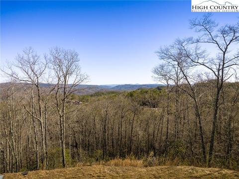 273 Ninebark Rd, Boone, NC 28607