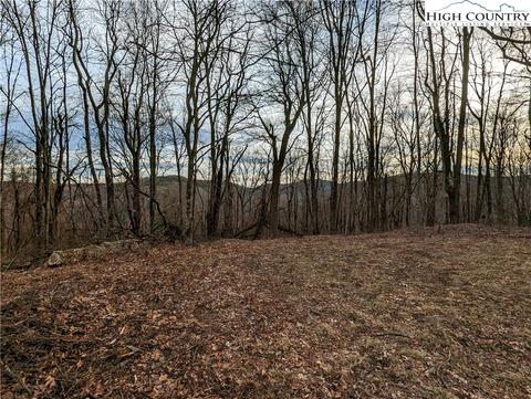 TBD Nc 18 S, Sparta, NC 28675 photo 47