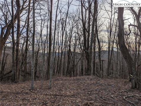 TBD Nc 18 S, Sparta, NC 28675 photo 44