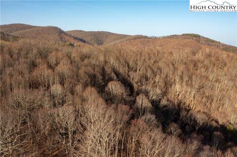 TBD Nc 18 S, Sparta, NC 28675 photo 31