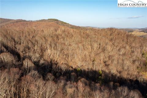 TBD Nc 18 S, Sparta, NC 28675 photo 30