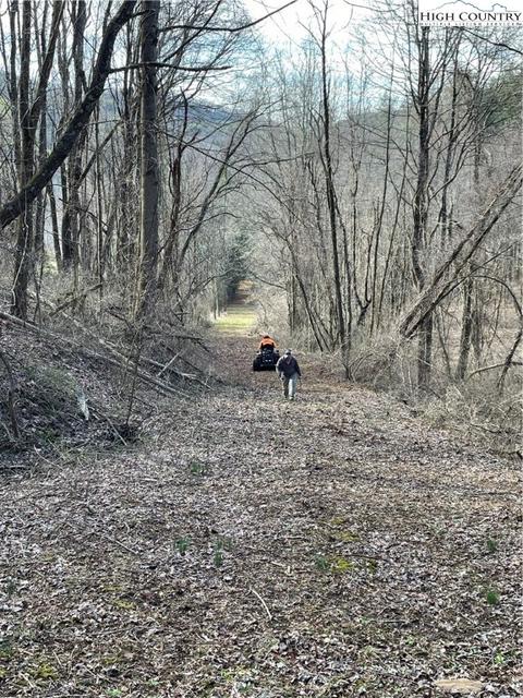 TBD Nc 18 S, Sparta, NC 28675 photo 6