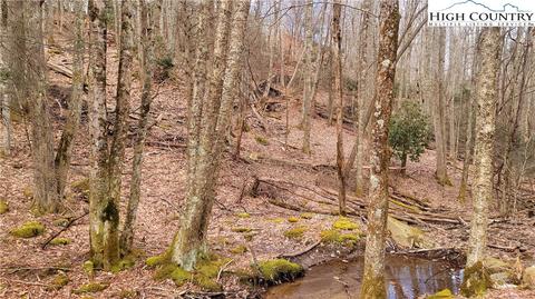 115 Cherry Gap Ln, Beech Mountain, NC 28604 photo 1