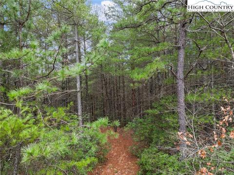 tbd Graystone Dr, Nebo, NC 28752 photo 11