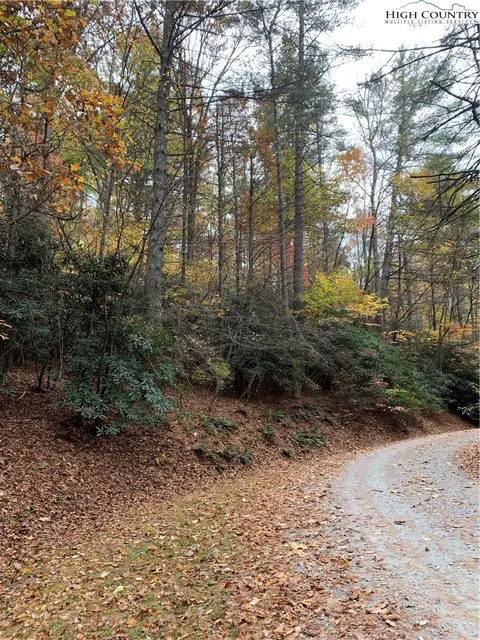 tbd Hope Town Rd, Vilas, NC 28692 photo 5