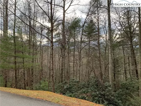 tbd Hope Town Rd, Vilas, NC 28692 photo 6