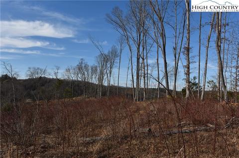 000 Albert Phipps Rd, Crumpler, NC 28617 photo 16