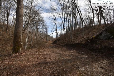 000 Albert Phipps Rd, Crumpler, NC 28617