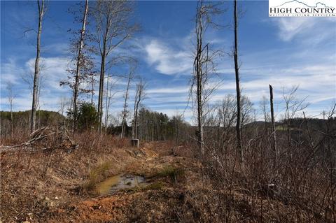 000 Albert Phipps Rd, Crumpler, NC 28617 photo 13