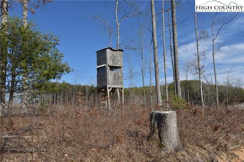 000 Albert Phipps Rd, Crumpler, NC 28617 photo 15
