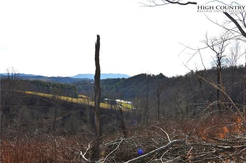 000 Albert Phipps Rd, Crumpler, NC 28617 photo 17