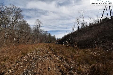 000 Albert Phipps Rd, Crumpler, NC 28617 photo 5