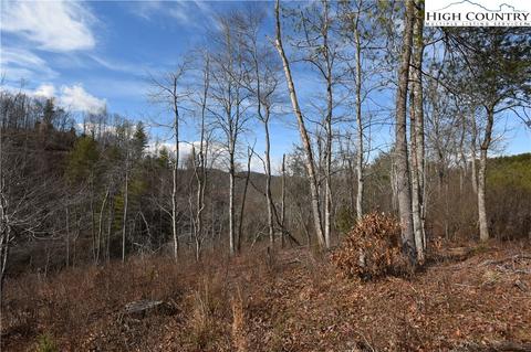 000 Albert Phipps Rd, Crumpler, NC 28617 photo 10