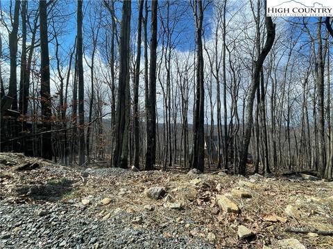 125 Clubhouse Rd, Beech Mountain, NC 28604