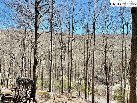 259 The Settlement, Boone, NC 28607 photo 9