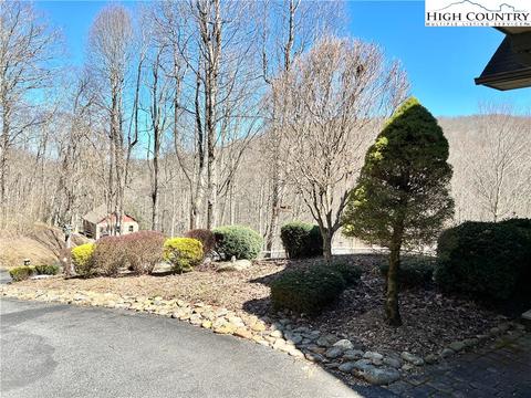 259 The Settlement, Boone, NC 28607 photo 43