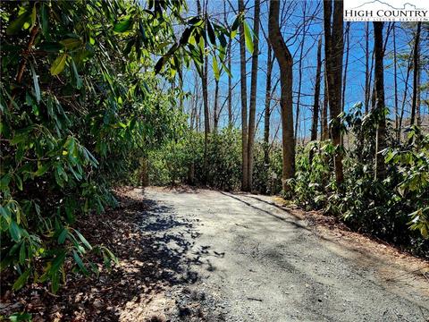 305 Moonfish Ln, Boone, NC 28607 photo 14