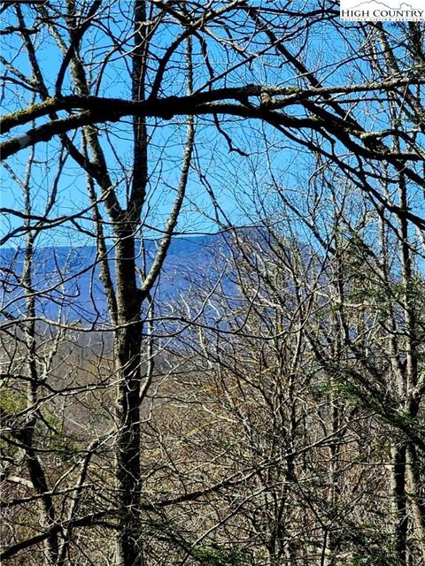 305 Moonfish Ln, Boone, NC 28607 photo 47