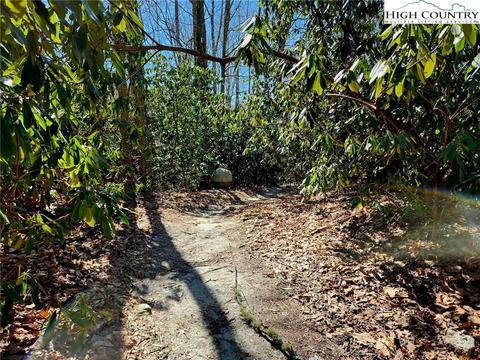 305 Moonfish Ln, Boone, NC 28607 photo 16
