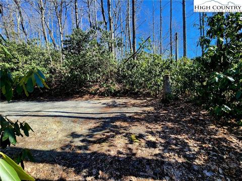 305 Moonfish Ln, Boone, NC 28607 photo 15